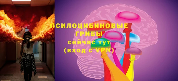 прущий лед Чердынь